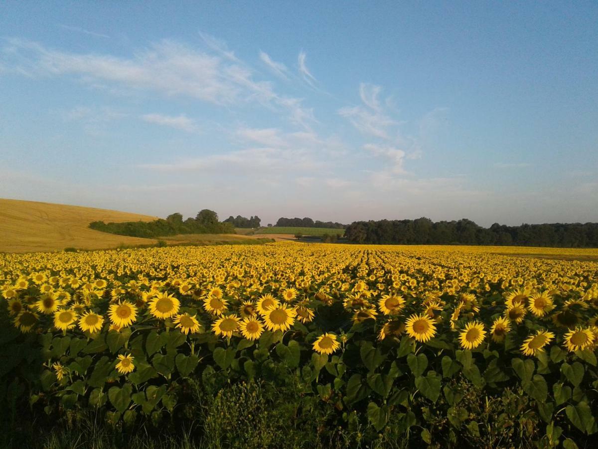 Fleur Du Soleil Villa Agudelle Eksteriør billede